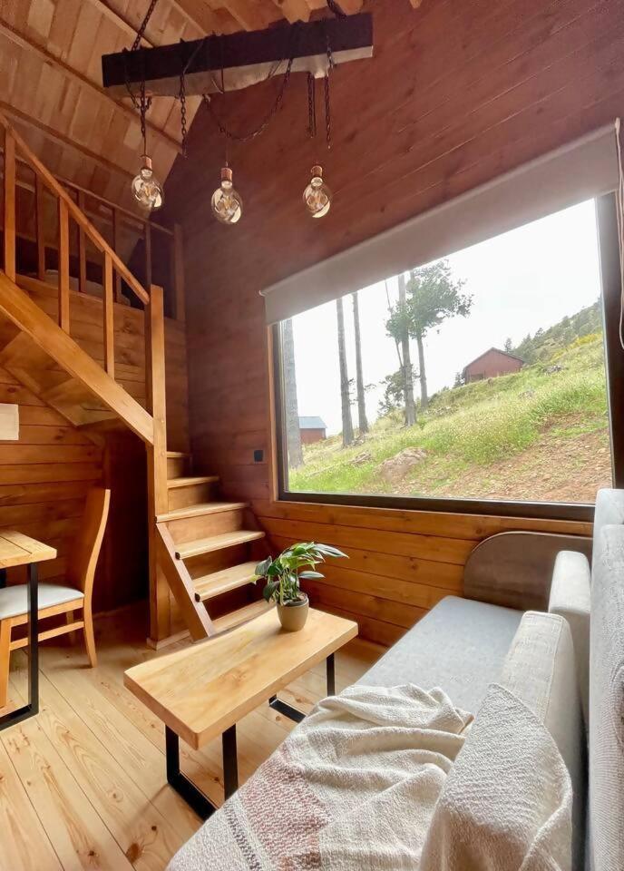 Отель Mountain Eco Shelter 7 Фуншал Экстерьер фото
